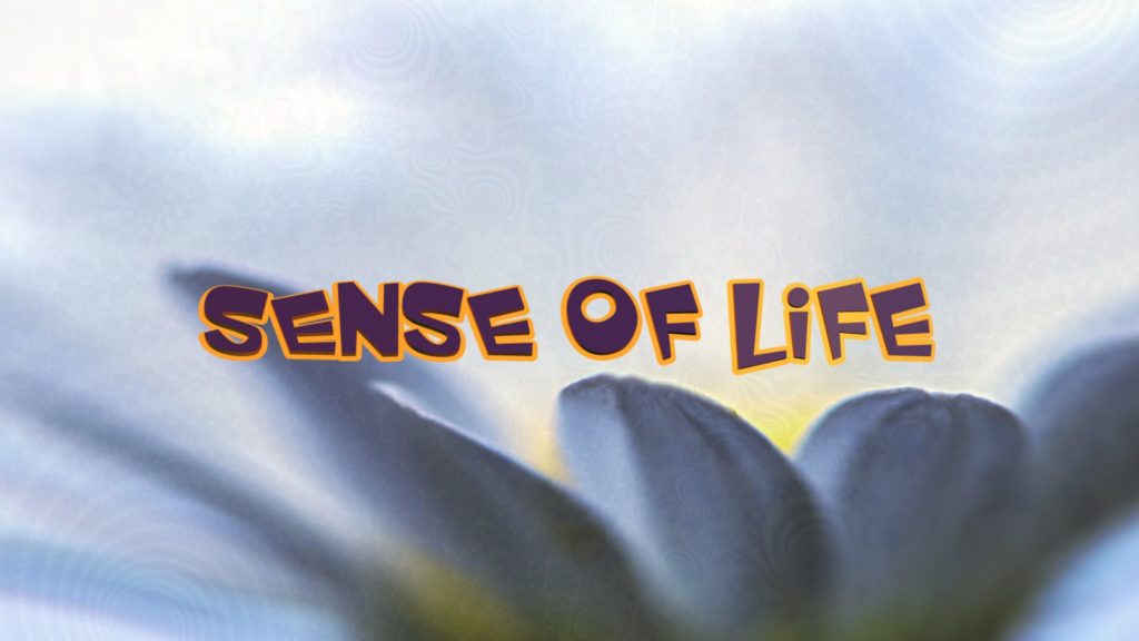 Sense of life