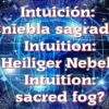 Die Intuition – heiliger Nebel?