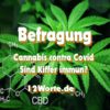 Cannabis contra Covid – Sind Kiffer immun?