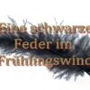 Eine Feder im Frühlingswind