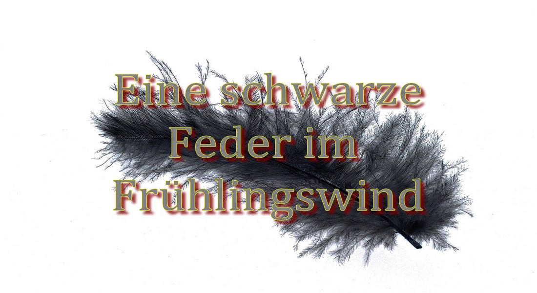 Feder