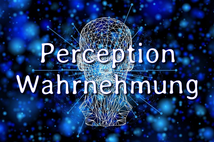 Wahrnehmung Perception